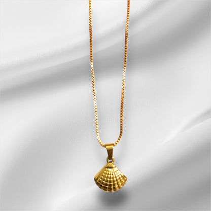Necklace the Shell